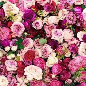 Meet your Posher, Clara